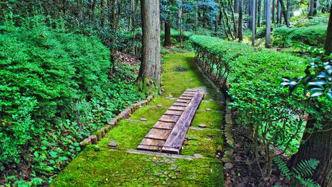 遊歩道