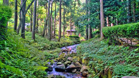 渓流を囲むように公園が整備されている