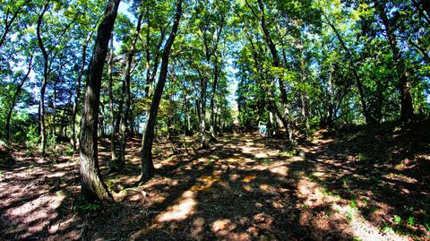 頂上の岩倉城址。木漏れ日が美しい