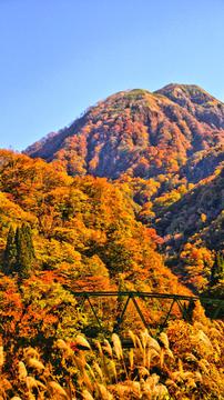 橋の向こうに願教寺山