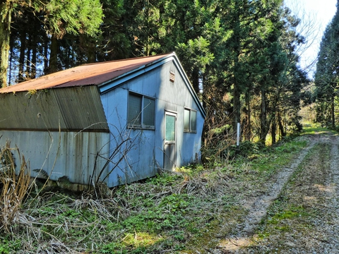 歩きやすい未舗装林道の横に変わった形の小屋