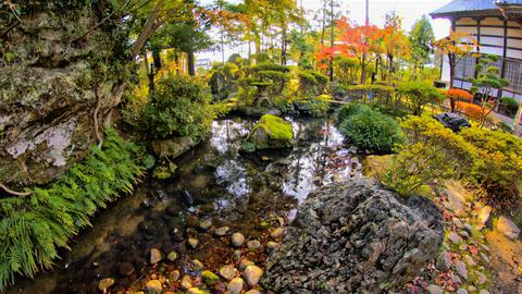 美しい庭園