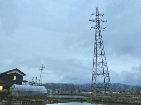 東郷武生線1番