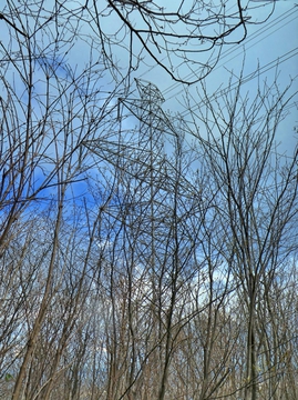 大黒部幹線74番