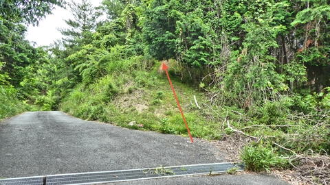 荻谷総合公園内 遊歩道へ入る