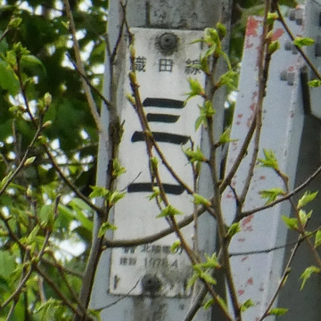 織田線最終銘板