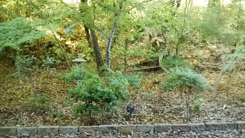 足湯の目の前の景色