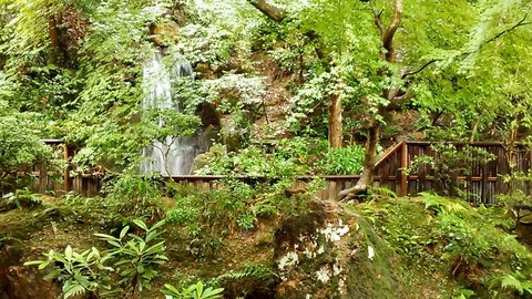 茶室から見える庭園