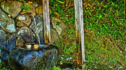 冷たい鰯が池の霊水