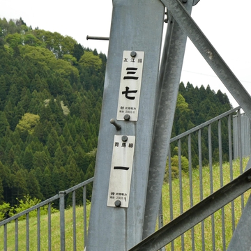 友江線37番/青島線1番