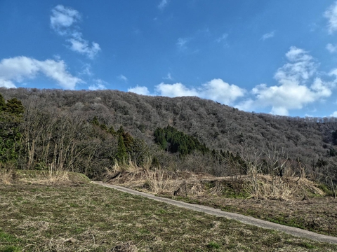 戸室山